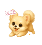 わんで伝えるチワワ TW（個別スタンプ：2）