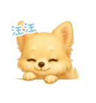 わんで伝えるチワワ TW（個別スタンプ：6）