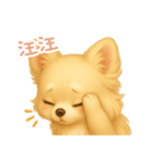 わんで伝えるチワワ TW（個別スタンプ：10）