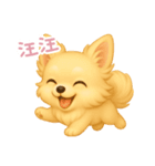 わんで伝えるチワワ TW（個別スタンプ：11）