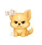 わんで伝えるチワワ TW（個別スタンプ：13）