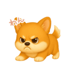 わんで伝えるコーギー JP（個別スタンプ：13）