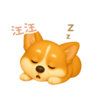 わんで伝えるコーギー TW（個別スタンプ：4）