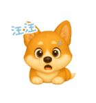 わんで伝えるコーギー TW（個別スタンプ：12）