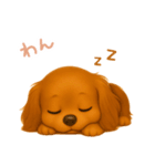 わんで伝えるミニチュアダックスフンド JP（個別スタンプ：4）