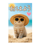 麦わら帽ネコ 気軽に使える夏の思いやりBIG（個別スタンプ：1）