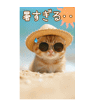 麦わら帽ネコ 気軽に使える夏の思いやりBIG（個別スタンプ：12）
