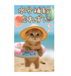 麦わら帽ネコ 気軽に使える夏の思いやりBIG（個別スタンプ：15）