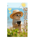 麦わら帽ネコ 気軽に使える夏の思いやりBIG（個別スタンプ：27）