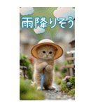 麦わら帽ネコ 気軽に使える夏の思いやりBIG（個別スタンプ：29）