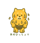 番外編：どすこい！コタロウ夏スタンプ（個別スタンプ：10）