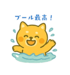 番外編：どすこい！コタロウ夏スタンプ（個別スタンプ：20）