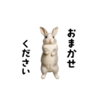 動く！灰色ウサギ（個別スタンプ：8）