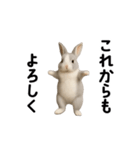 動く！灰色ウサギ（個別スタンプ：17）