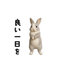動く！灰色ウサギ（個別スタンプ：20）