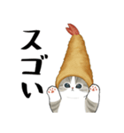 えびにゃん3（個別スタンプ：23）