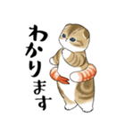 えびにゃん3（個別スタンプ：24）