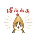 えびにゃん3（個別スタンプ：37）