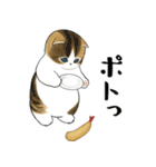 えびにゃん3（個別スタンプ：40）