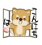 柴犬 2025 「飛び出す」よく使う言葉（個別スタンプ：2）