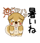 柴犬 2025 「飛び出す」よく使う言葉（個別スタンプ：3）