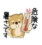 柴犬 2025 「飛び出す」よく使う言葉（個別スタンプ：4）