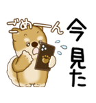 柴犬 2025 「飛び出す」よく使う言葉（個別スタンプ：5）