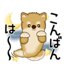 柴犬 2025 「飛び出す」よく使う言葉（個別スタンプ：6）