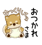 柴犬 2025 「飛び出す」よく使う言葉（個別スタンプ：9）