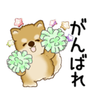 柴犬 2025 「飛び出す」よく使う言葉（個別スタンプ：11）