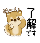 柴犬 2025 「飛び出す」よく使う言葉（個別スタンプ：12）
