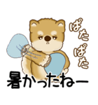 柴犬 2025 「飛び出す」よく使う言葉（個別スタンプ：13）