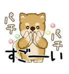 柴犬 2025 「飛び出す」よく使う言葉（個別スタンプ：14）