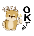 柴犬 2025 「飛び出す」よく使う言葉（個別スタンプ：16）