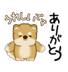柴犬 2025 「飛び出す」よく使う言葉（個別スタンプ：17）