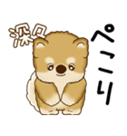 柴犬 2025 「飛び出す」よく使う言葉（個別スタンプ：18）