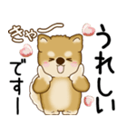 柴犬 2025 「飛び出す」よく使う言葉（個別スタンプ：20）