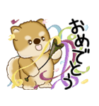 柴犬 2025 「飛び出す」よく使う言葉（個別スタンプ：21）