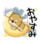 柴犬 2025 「飛び出す」よく使う言葉（個別スタンプ：24）