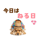 アメコカの夏スタンプ☀️（個別スタンプ：2）