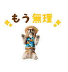 アメコカの夏スタンプ☀️（個別スタンプ：3）