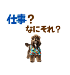 アメコカの夏スタンプ☀️（個別スタンプ：5）