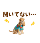 アメコカの夏スタンプ☀️（個別スタンプ：7）