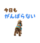 アメコカの夏スタンプ☀️（個別スタンプ：10）