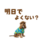 アメコカの夏スタンプ☀️（個別スタンプ：11）