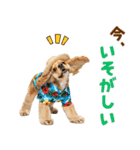 アメコカの夏スタンプ☀️（個別スタンプ：15）