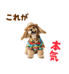 アメコカの夏スタンプ☀️（個別スタンプ：17）