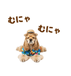 アメコカの夏スタンプ☀️（個別スタンプ：18）