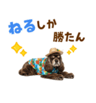 アメコカの夏スタンプ☀️（個別スタンプ：22）