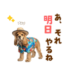 アメコカの夏スタンプ☀️（個別スタンプ：23）